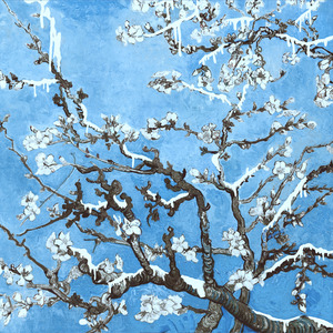 亚洲欧美性爱视频
