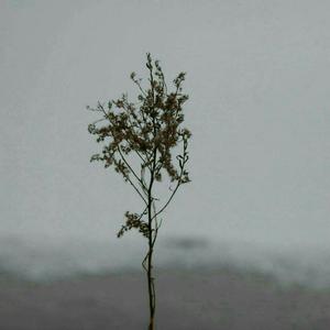 久久久精品欧美一区二区
