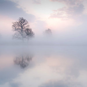 91国精产品㊙️天美一区
