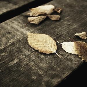 大鸡巴操骚货免费视频
