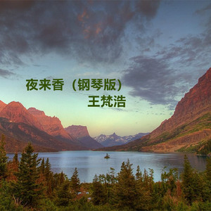 黄色电影一级人跟动物
